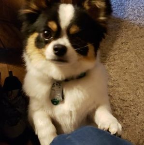 Meet your Posher, Larry